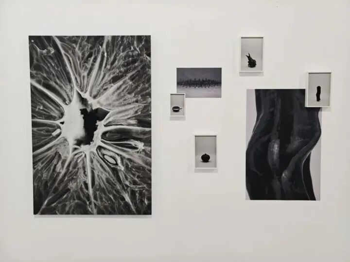 第26届平遥国际摄影大展,明日即将开幕! · 配图 11