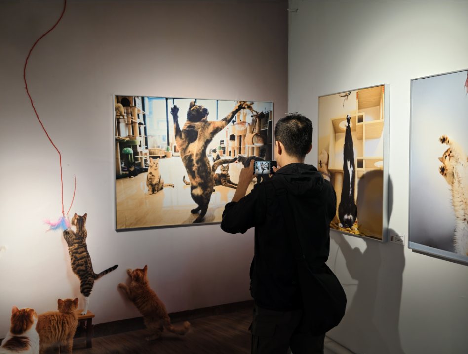 第26届平遥国际摄影大展盛大开幕! · 配图 50