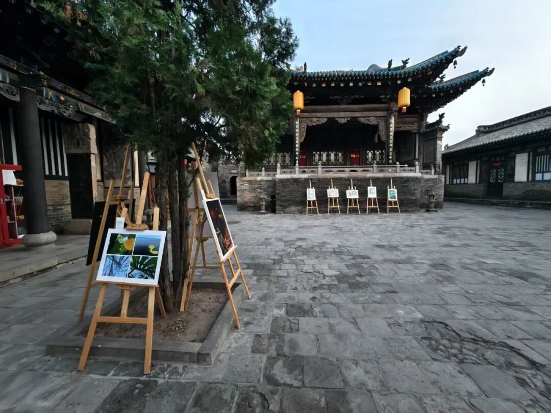 PIP国际青少年展|青衿瞳——我们追求的样子 · 配图 8
