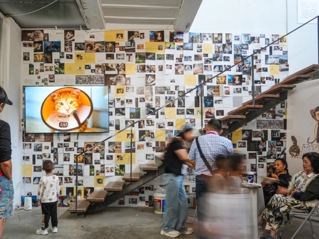 第26届平遥国际摄影大展盛大开幕! · 配图 49