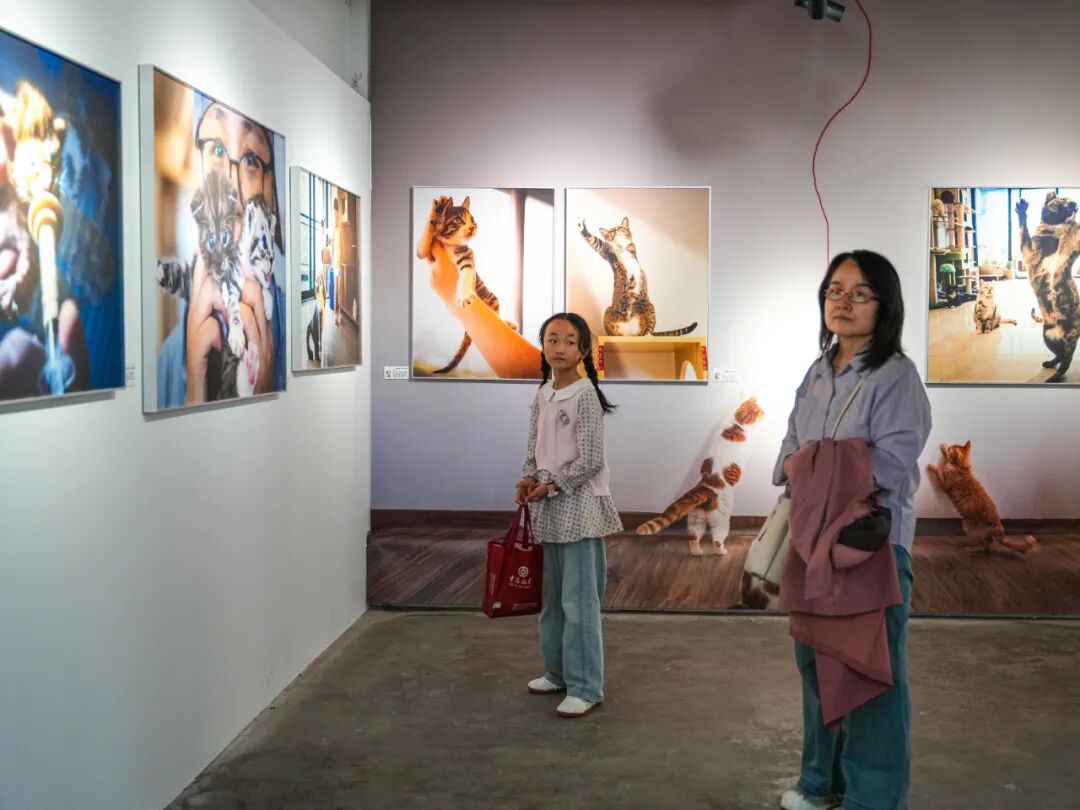 第26届平遥国际摄影大展盛大开幕! · 配图 48