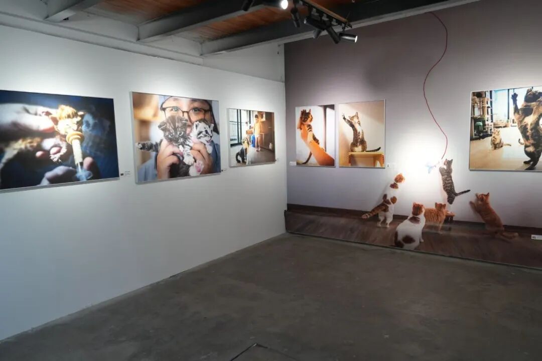 第26届平遥国际摄影大展,明日即将开幕! · 配图 27