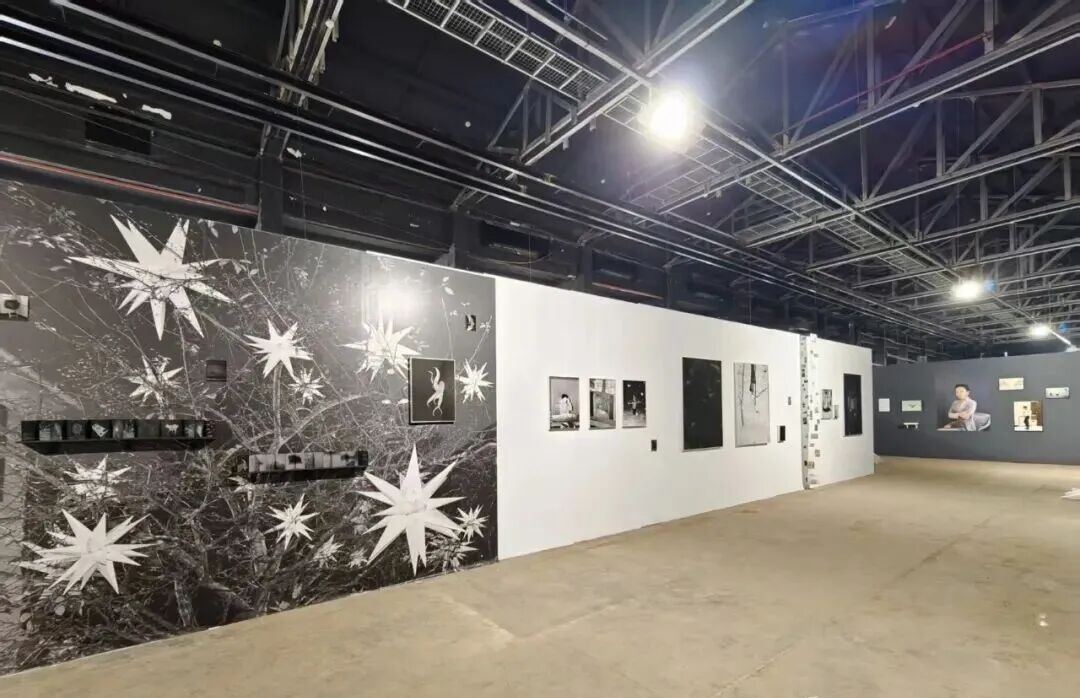 倒计时 1 天 !光影就绪,平遥国际摄影大展现场直击! · 配图 14