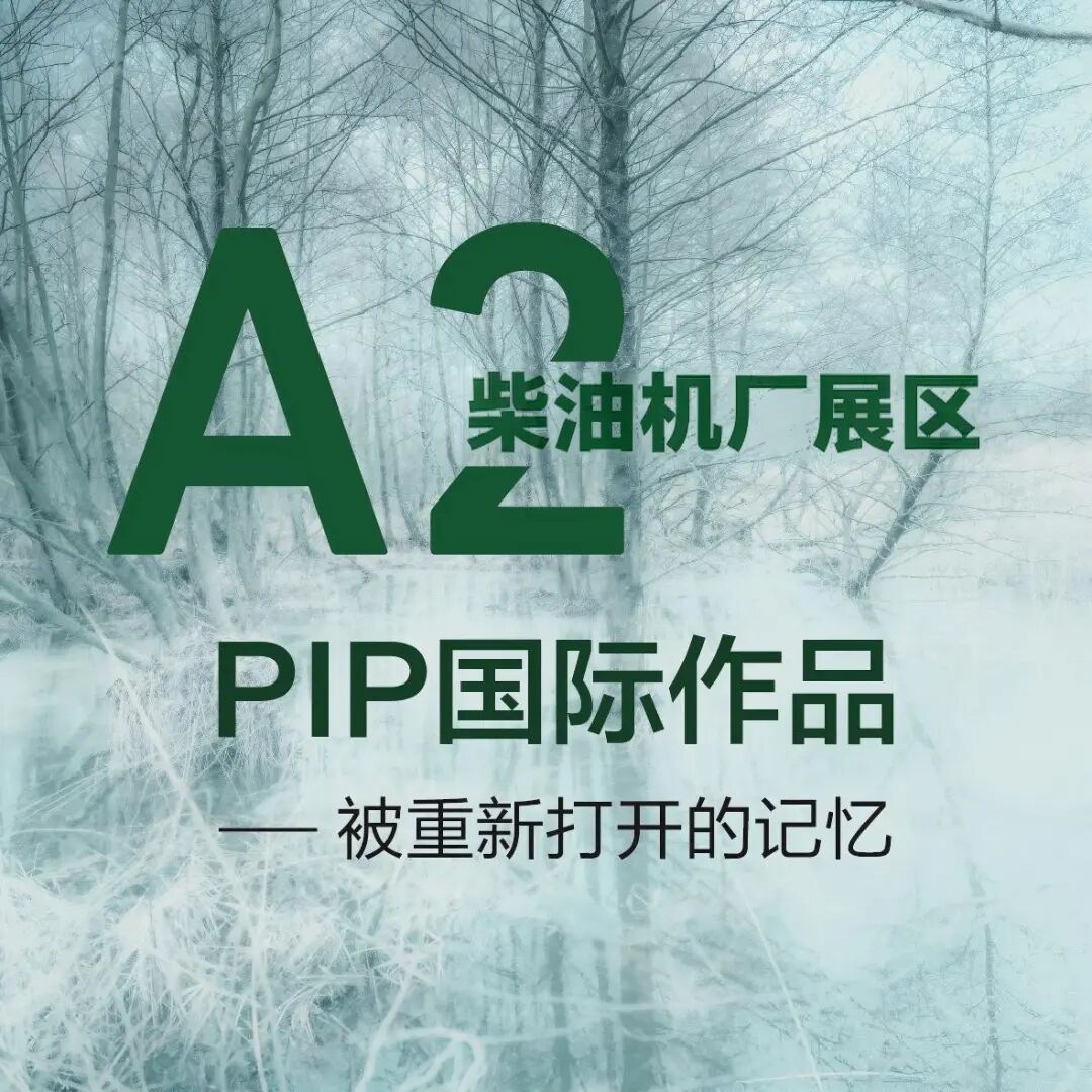 PIP国际实验摄影展|被重新打开的记忆 · 配图 1